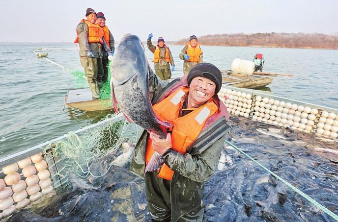 日照水库冬捕第一网